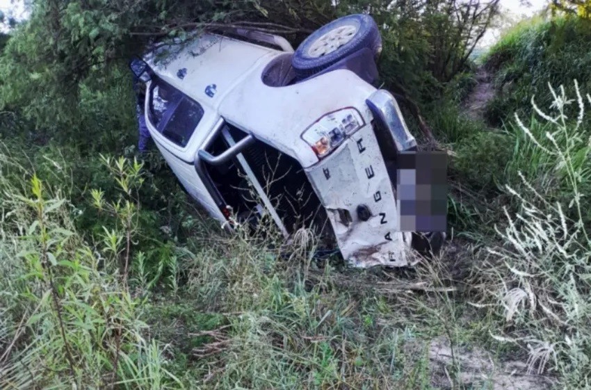 Conductor de una camioneta quiso esquivar caballos sueltos, despistó y volcó