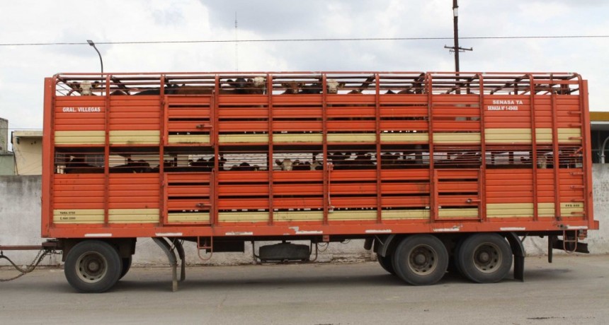 Flexibilizan movimientos de hacienda en el Chaco
