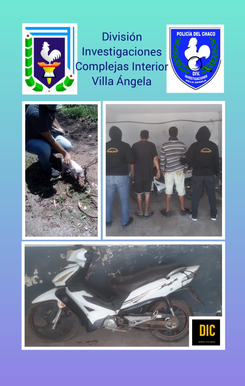 DOS VILLANGELENSES SON DETENIDOS POR HURTO DE GANADO MENOR Y TENTATIVA DE ROBO EN ZONA RURAL DE SAN BERNARDO Y VILLA &Aacute;NGELA