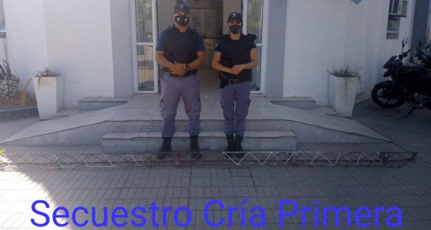 Villa &Aacute;ngela: RECUPERAN UNA CORREA QUE HAB&Iacute;A SIDO ROBADA EN SEPTIEMBRE DE ESTE A&Ntilde;O