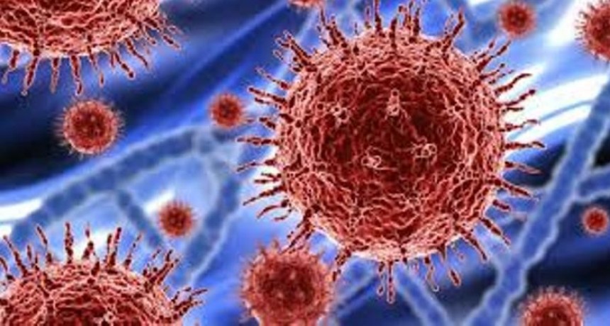 Para la OMS, la nueva cepa de coronavirus &ldquo;no est&aacute; fuera de control&rdquo;