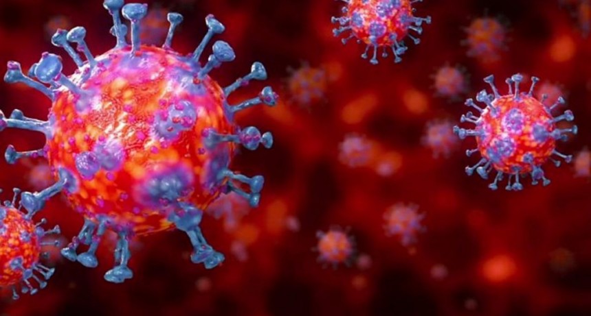 Villa &Aacute;ngela: EL PARTE EPIDEMIOL&Oacute;GICO INFORM&Oacute; 2 NUEVOS CASOS EN LA LOCALIDAD SUMANDO UN TOTAL DE 1.677 CASOS DE CORONAVIRUS