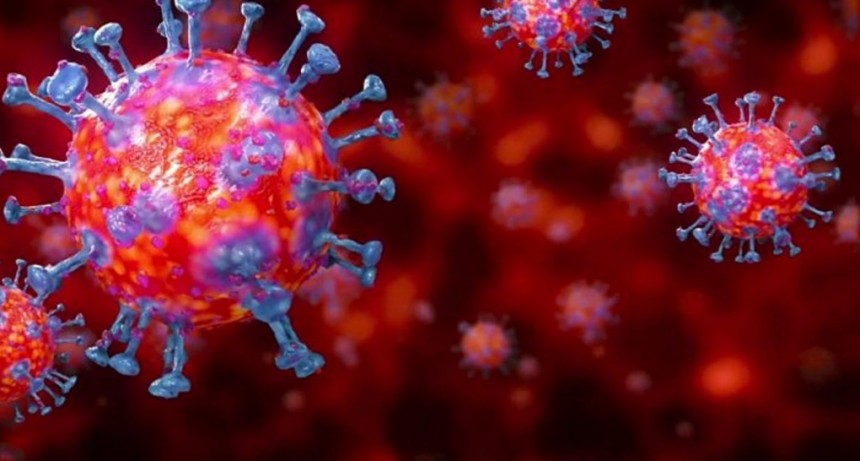 Villa &Aacute;ngela: EL PARTE EPIDEMIOL&Oacute;GICO INFORM&Oacute; 2 NUEVOS CASOS EN LA LOCALIDAD SUMANDO UN TOTAL DE 1.681 CASOS DE CORONAVIRUS