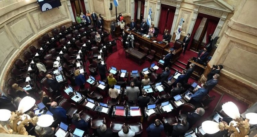 CUATRO SENADORES DEL FRENTE DE TODOS CONFORMAR&Aacute;N UN GRUPO INTERNO QUE BUSCAR&Aacute; TORCER LA AGENDA DEL KIRCHNERISMO
