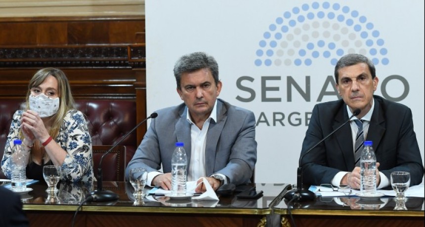 Zimmermann asumi&oacute; la vicepresidencia de la Comisi&oacute;n de Presupuesto y Hacienda