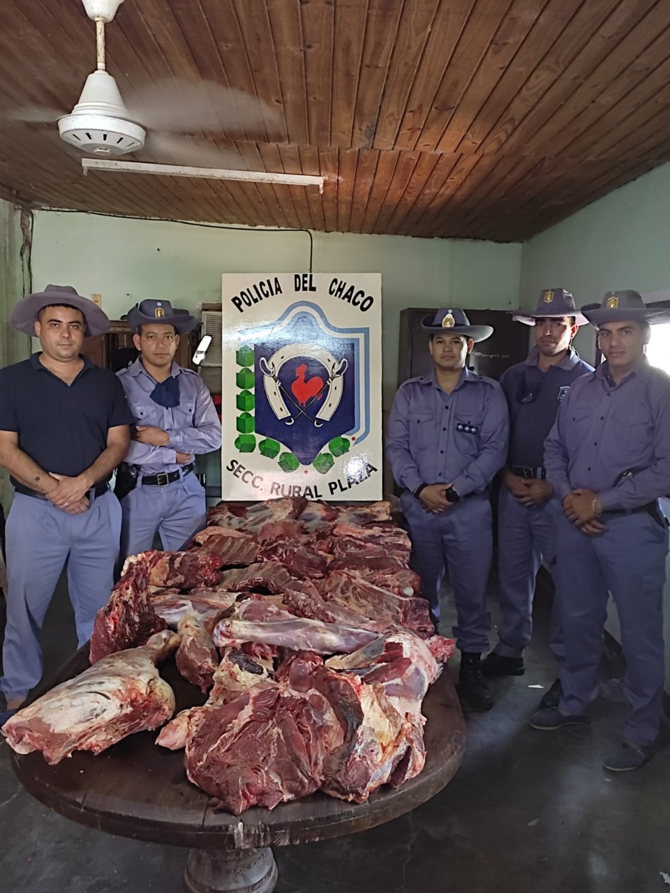 Ten&iacute;an pasto: en Presidencia de la Plaza incautaron 105 kilos de carne en mal estado y por dudosa procedencia