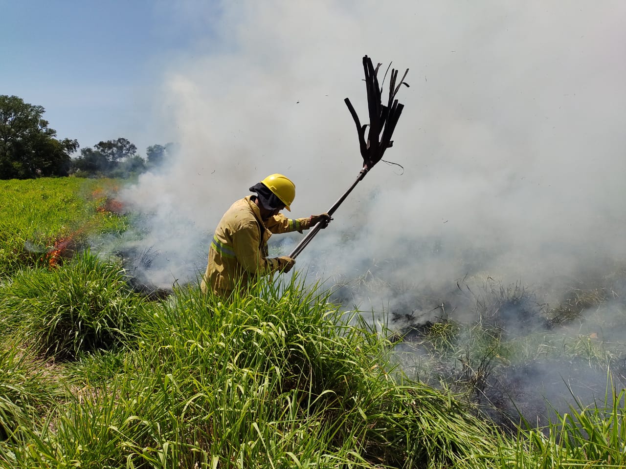 INCENDIO DE PASTIZALES EN ZONA LINDANTE AL POL&Iacute;GONO POLICIAL LOCAL
