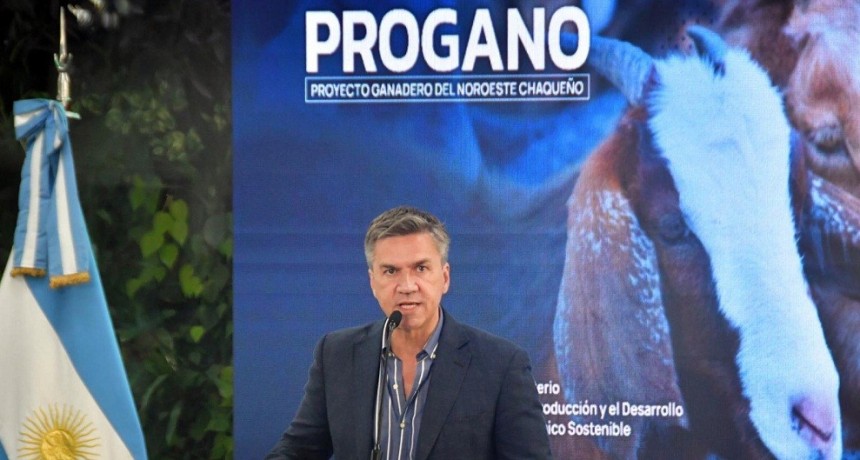 EL GOBERNADOR ZDERO REACTIV&Oacute; EL PROGANO PARA CONSOLIDAR LA CADENA GANADERA: &ldquo;M&Aacute;S PRODUCCI&Oacute;N, M&Aacute;S TRABAJO Y M&Aacute;S DESARROLLO PARA EL CHACO&rdquo;