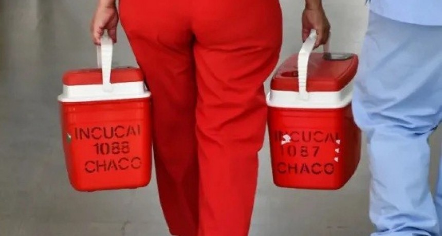 UNA DONANTE DE &Oacute;RGANOS CHAQUE&Ntilde;A PERMITI&Oacute; SALVAR LA VIDA DE TRES PACIENTES