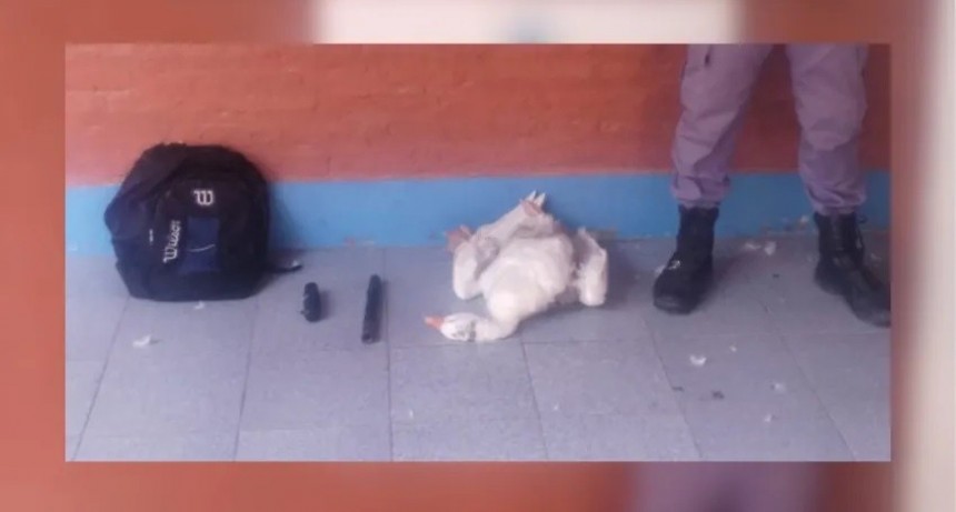 Presidencia Roca: Amenazó con un arma de fuego a su pareja y le robó un ganso